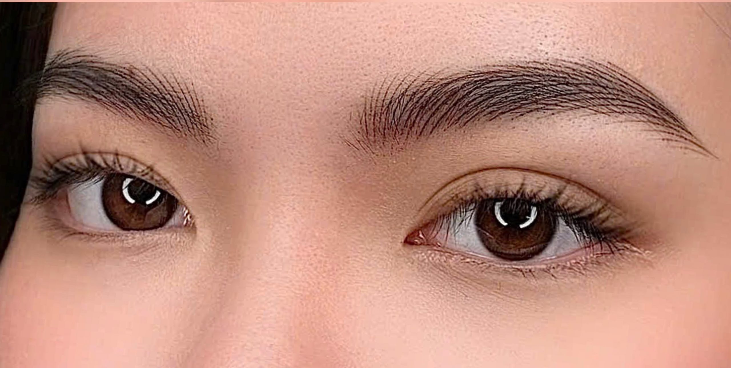 Nano Hairstroke (Nano Brows) result